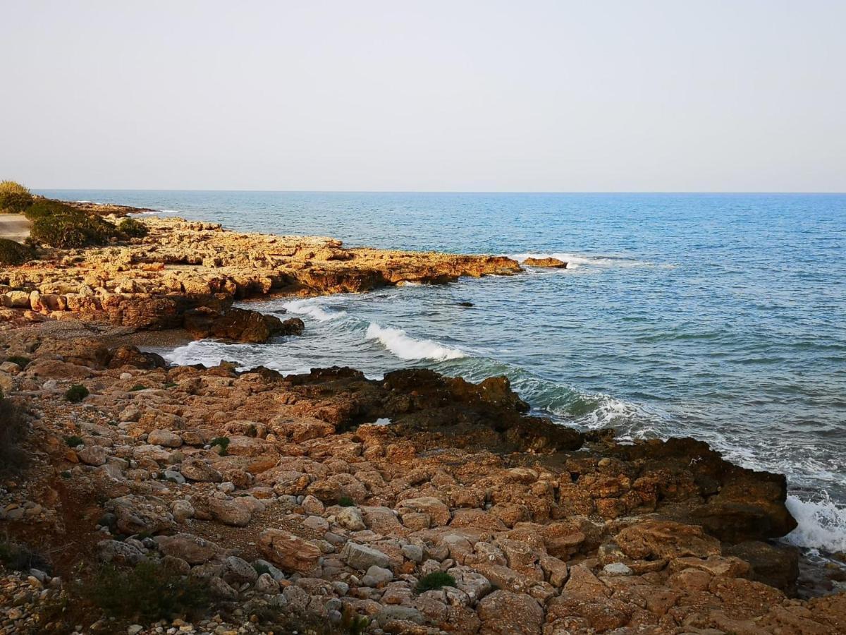 La Casa Del Mirlo Azul - Peniscola Daire Dış mekan fotoğraf
