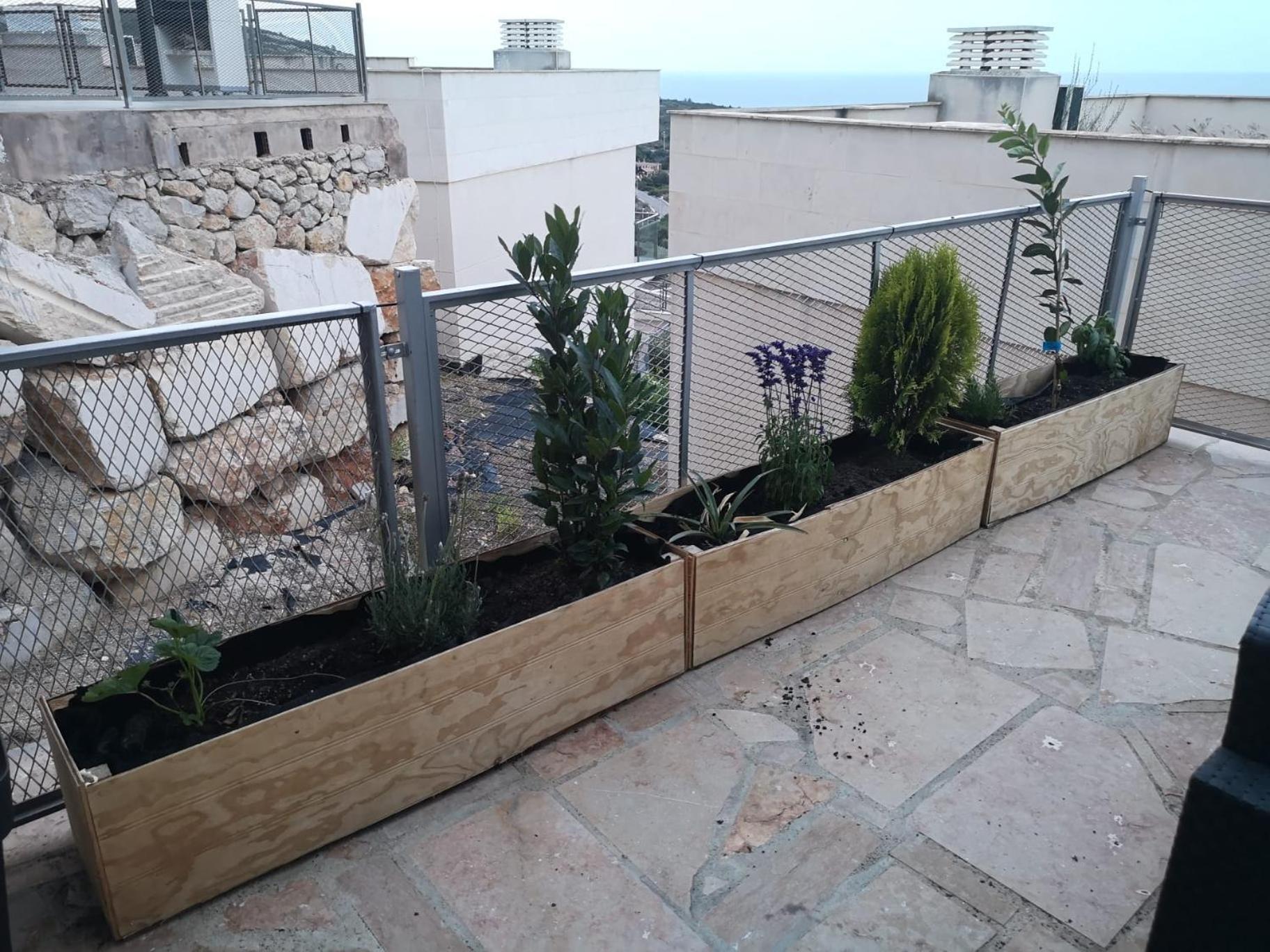 La Casa Del Mirlo Azul - Peniscola Daire Dış mekan fotoğraf